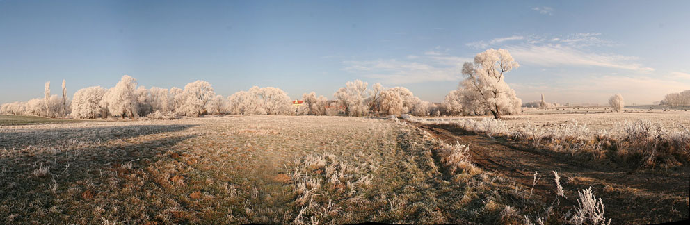 Winter in der Parthenaue